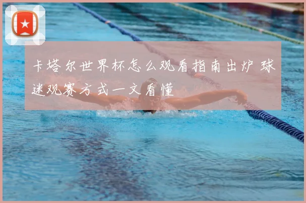 卡塔尔世界杯怎么观看指南出炉 球迷观赛方式一文看懂