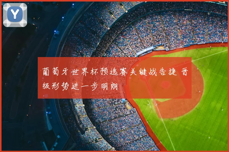 葡萄牙世界杯预选赛关键战告捷 晋级形势进一步明朗