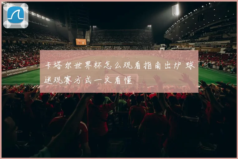 卡塔尔世界杯怎么观看指南出炉 球迷观赛方式一文看懂