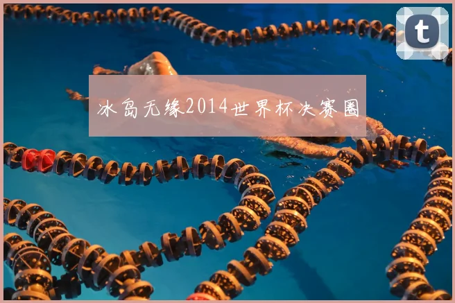 冰岛无缘2014世界杯决赛圈
