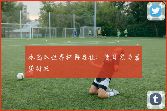 冰岛队世界杯再启程：昔日黑马蓄势待发