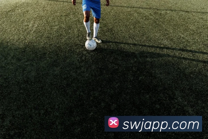 突尼斯世界杯首发阵容出炉 主力框架微调备战小组赛